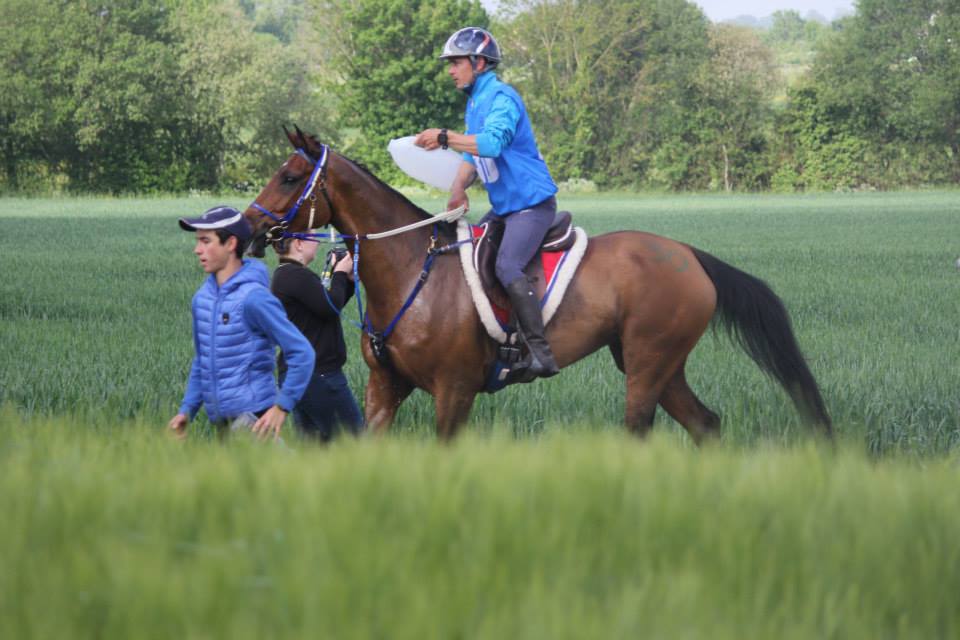 Julien Goachet en endurance avec équipement Antarès Sellier