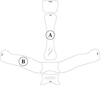 Antarès Pads