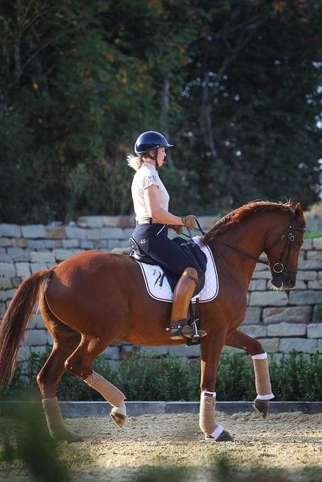 Selle equitation dressage monoquartier cuir antares