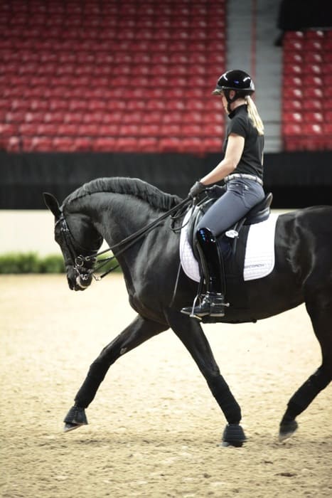 Selle de cheval dressage