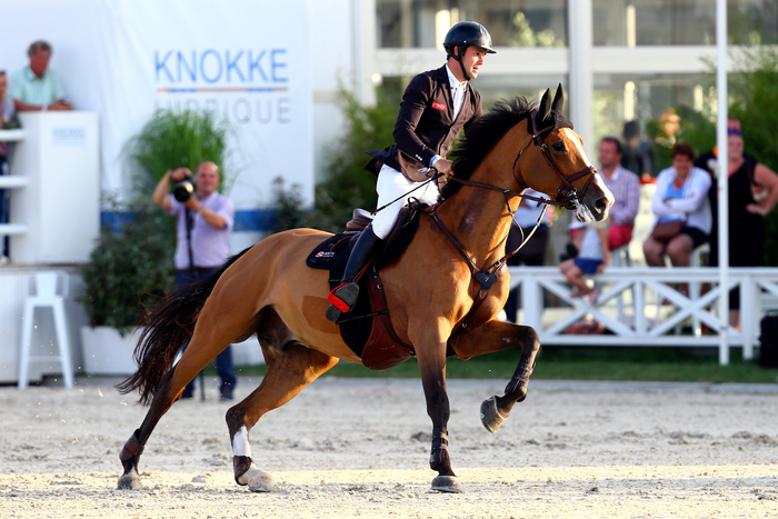 antares jumping horse saddle constant van paesschen horse riding helmets girth reins horse briddle