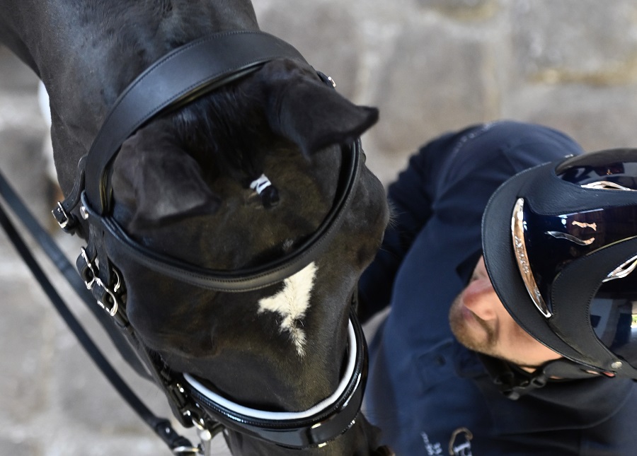 filet cheval équitation Antarès