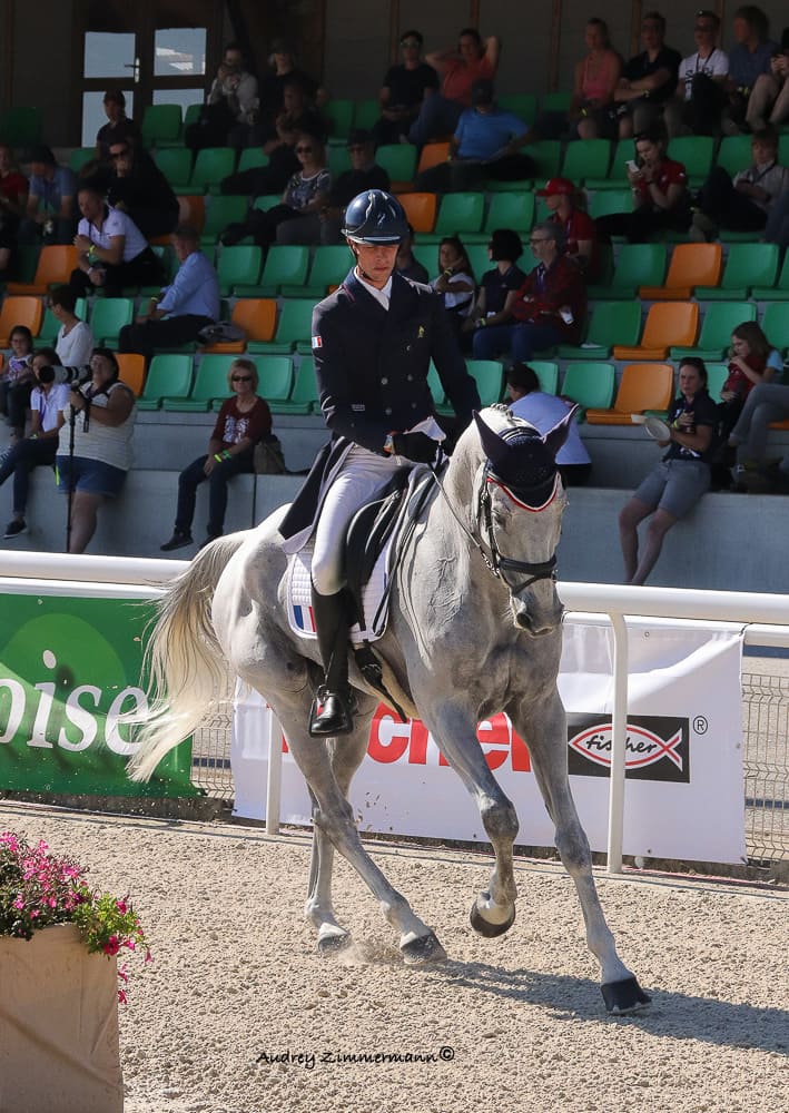 Maxime LIVIO dressage championnat d'europe