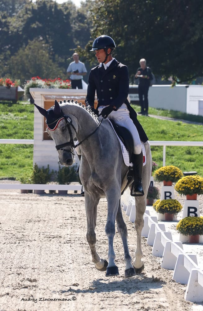 Maxime LIVIO dressage championnat d'europe