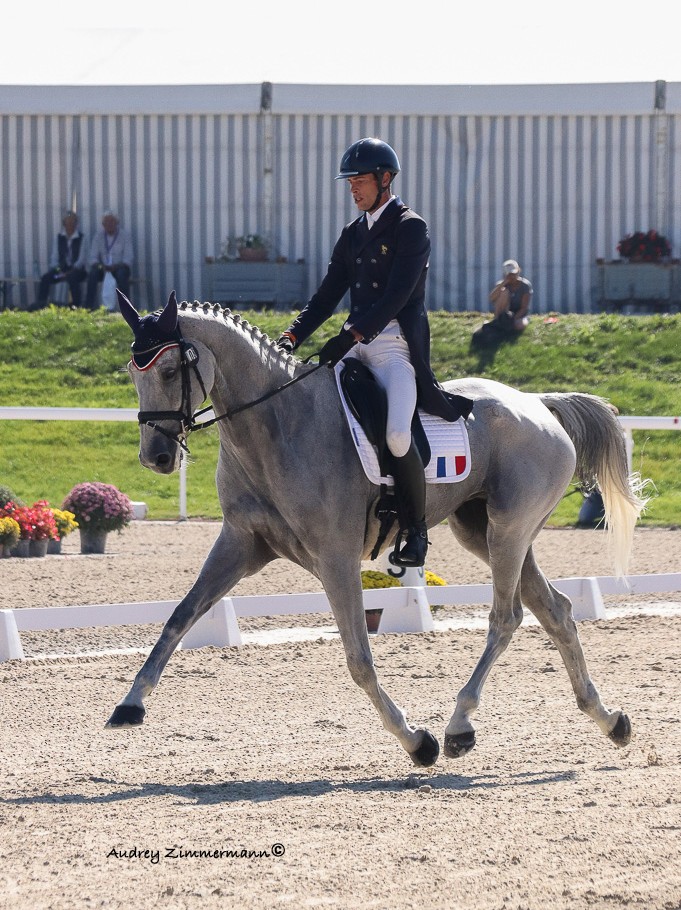 epreuve de dressage partenaire antares maxime livio et api 2021