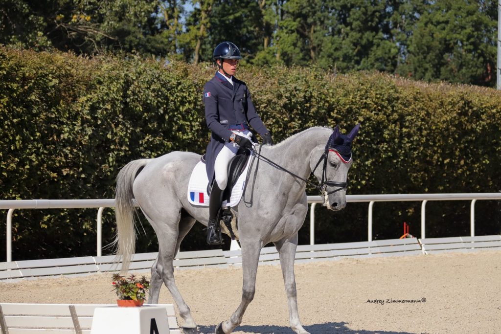 Maxime LIVIO dressage championnat d'europe