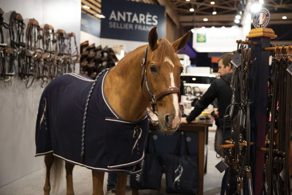 peyo-equita-lyon-antares-sellier