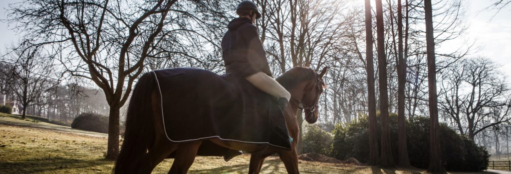 Photo cavalier lors d'un travail de récupération en hiver