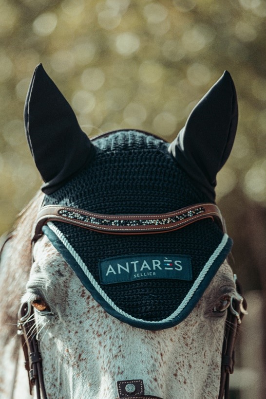 Frontal et bonnet pour cheval