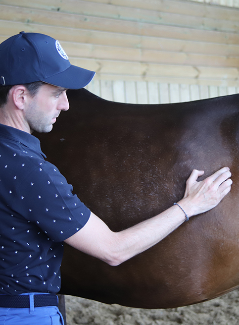 Les fittings de nos experts sont axés sur la biomécanique pour créer des selles sur-mesure aux morphologies du couple cavalier-cheval.
