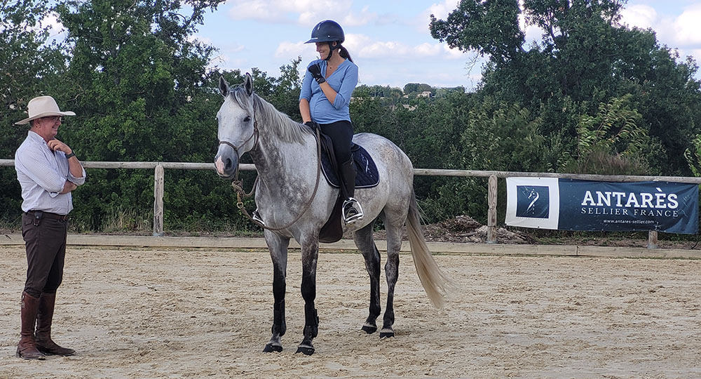 équitation éthologique et compétition