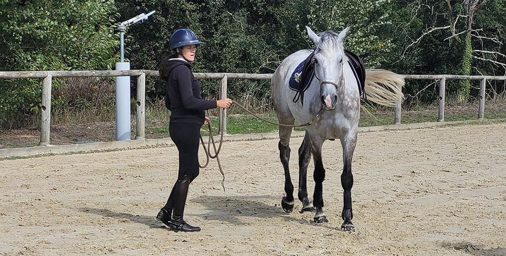 équitation éthologique et compétition