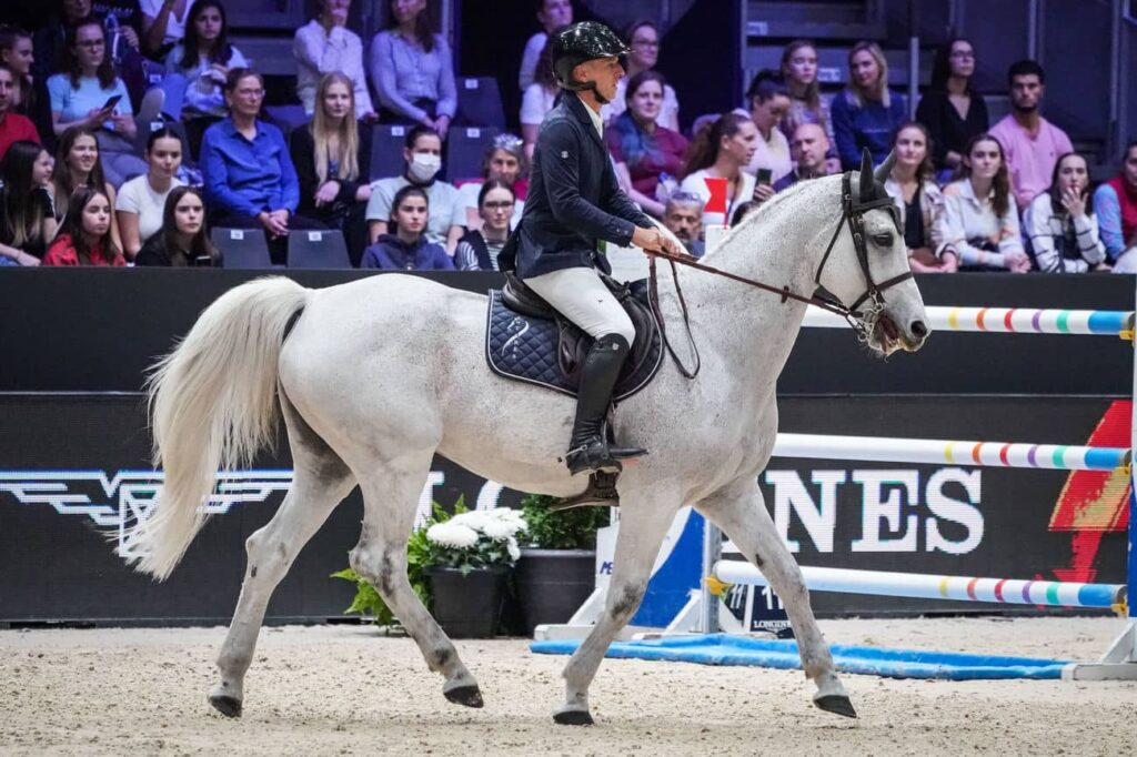 ANTARES RIDER GRAND NATIONAL