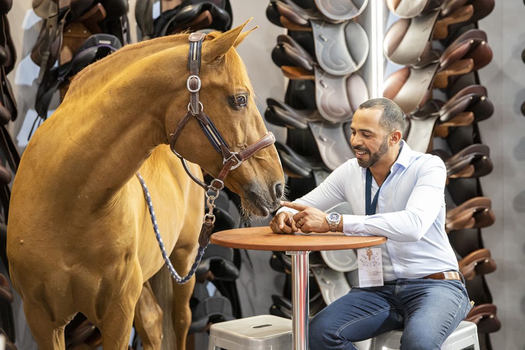 Antarès Sellier 2022