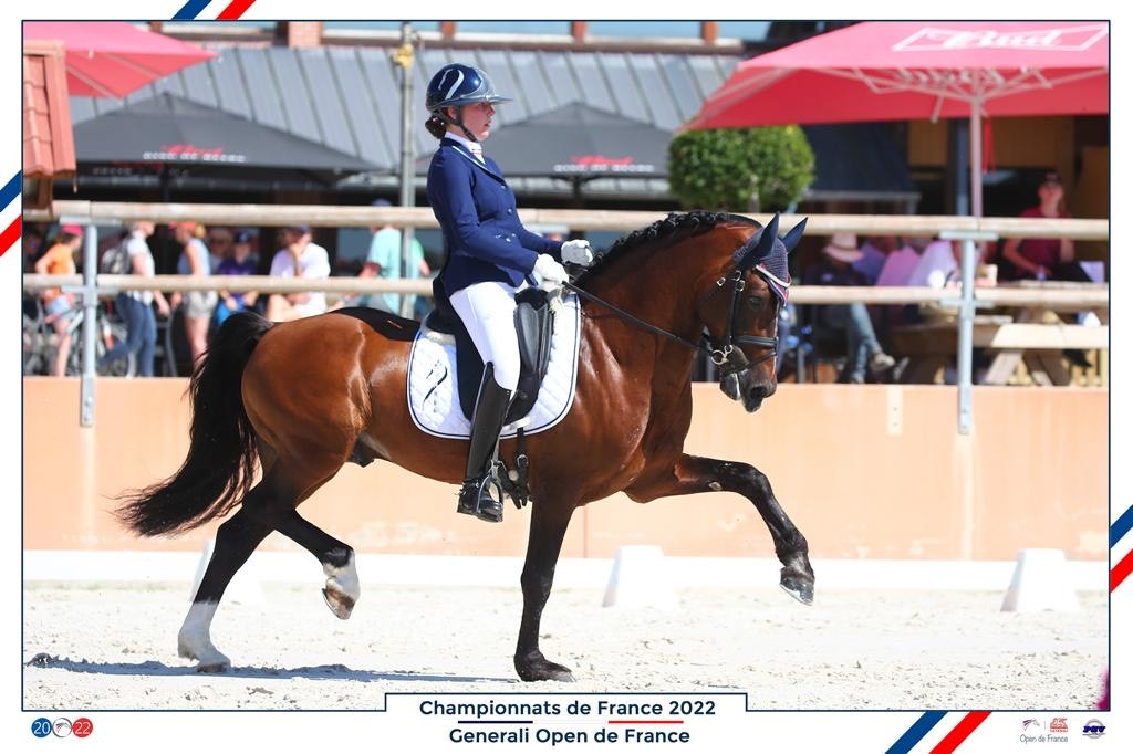 Antarès Sellier 2022