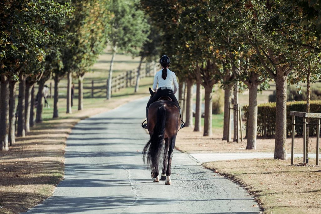Concours équitation Antarès Sellier