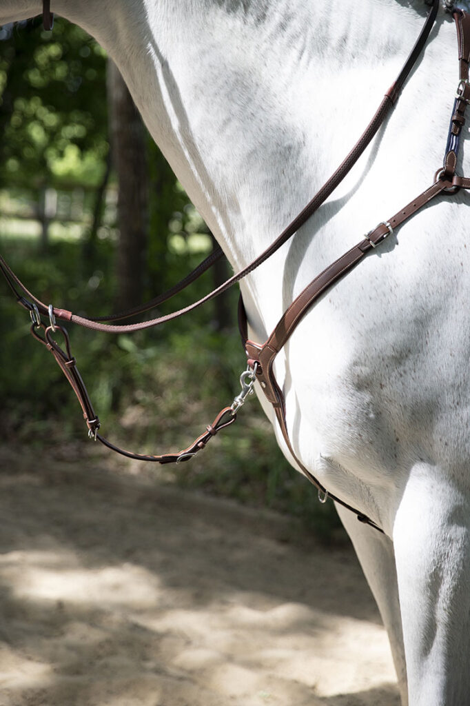 Enrênement martingale à anneaux Antarès