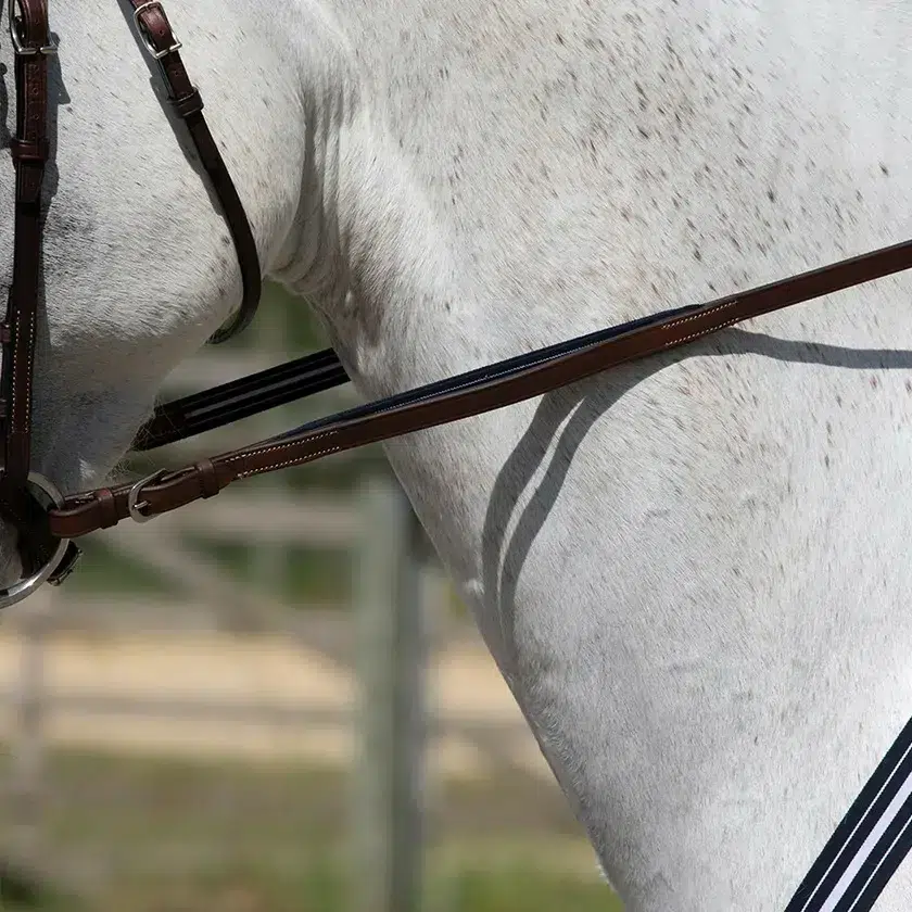 rênes d’équitation