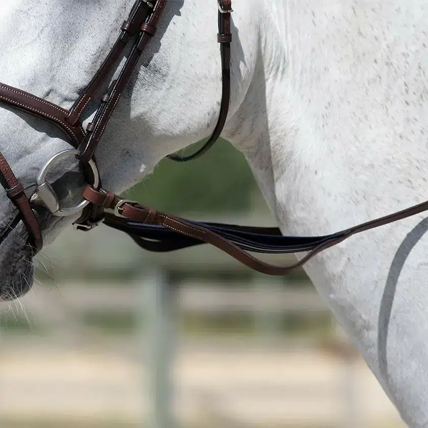 rênes d’équitation