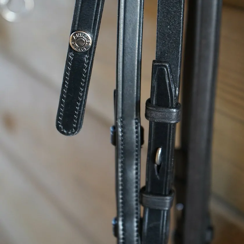 riding reins