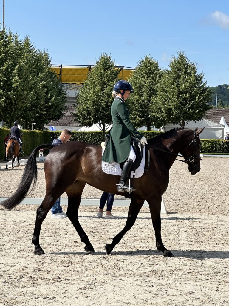 Aachen competition Antarès rider