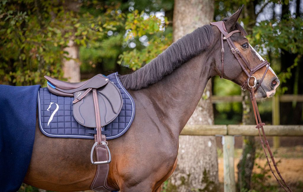 Der Reitsattel Extra Contact hat eine flache Sitzfläche, die dem Reiter mehr Kontakt mit dem Pferd ermöglicht, und bietet außerdem eine große Beweglichkeit in der Position für ein unvergleichliches Erlebnis.