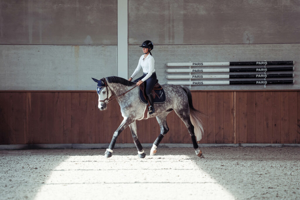 travail sur le plat à cheval