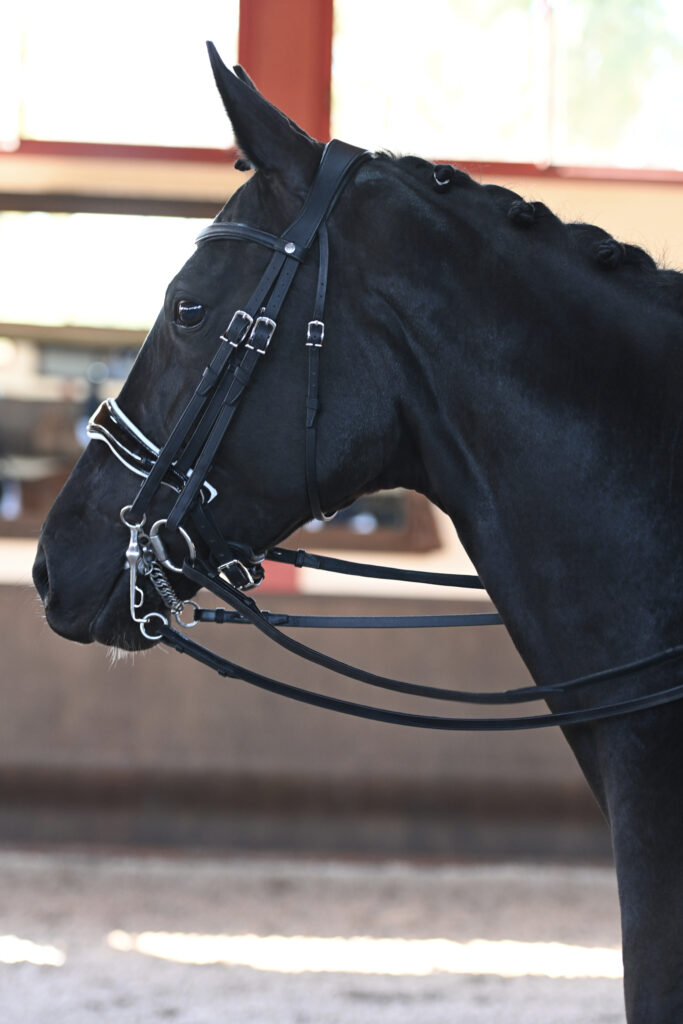 bride de dressage